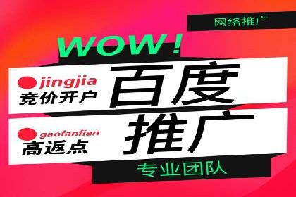 百度信息流广告推广：成功案例解析